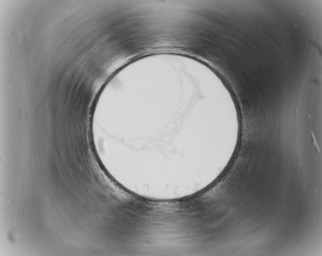 X0000103971333200810171916