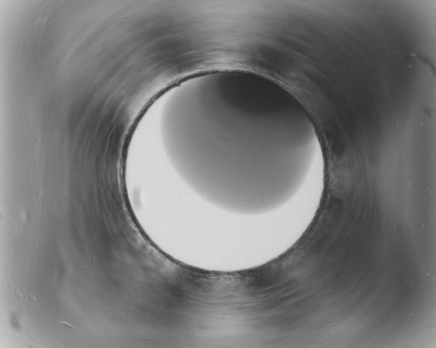 X0000103971334200810171916