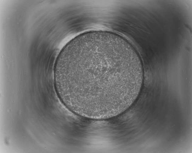 X0000103971335200810171916