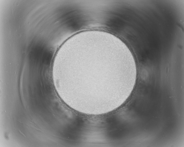 X0000103971336200810171916