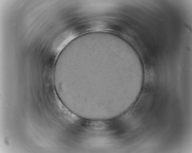 X0000103971338200810171916