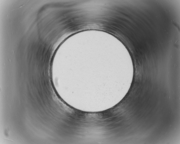 X0000103971339200810171916