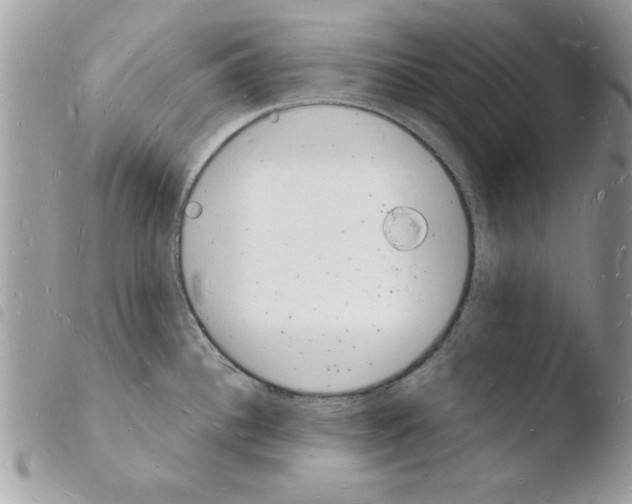 X0000103971340200810171916