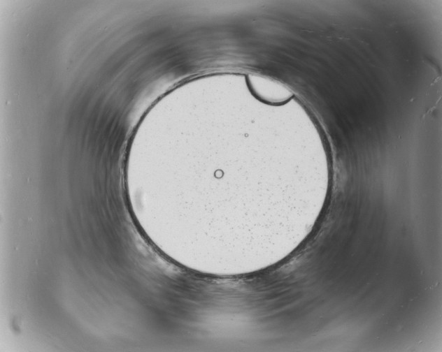 X0000103971341200810171916