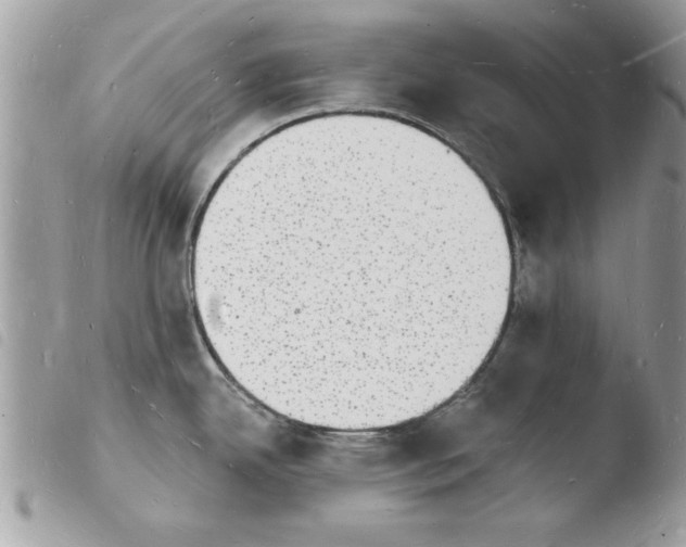 X0000103971342200810171916