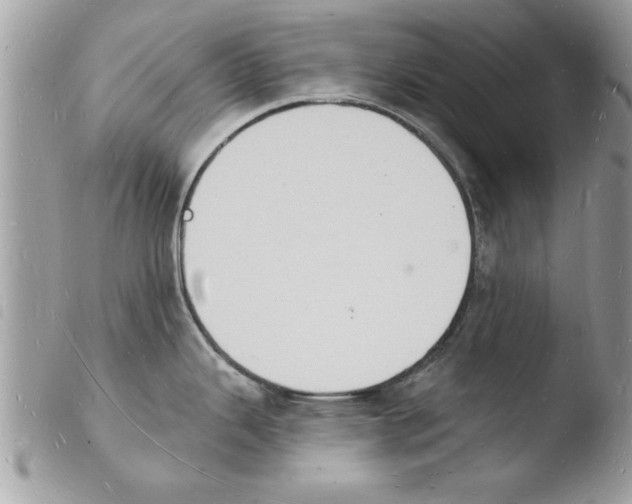 X0000103971343200810171916