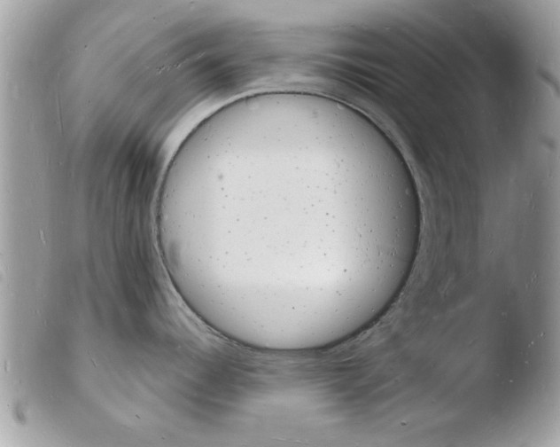 X0000103971344200810171916