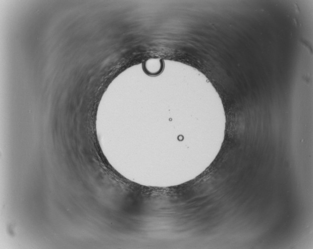 X0000103971345200810171915