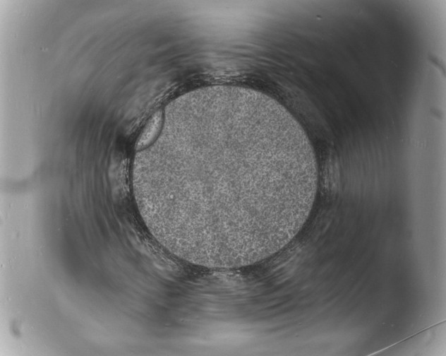 X0000103971346200810171915