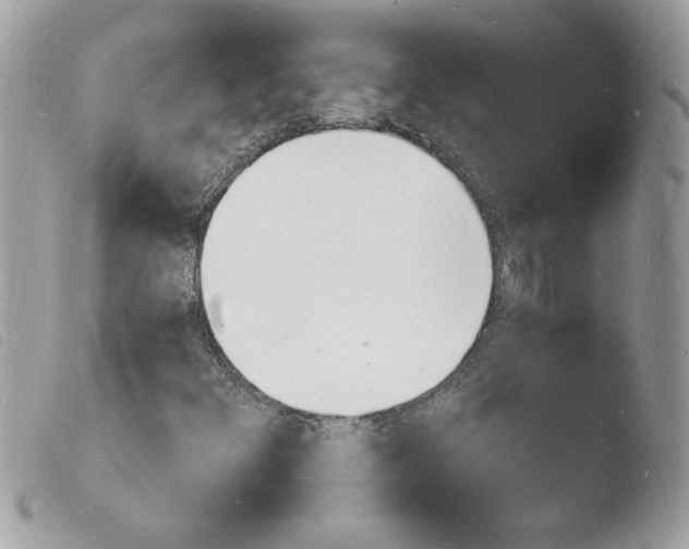 X0000103971348200810171915