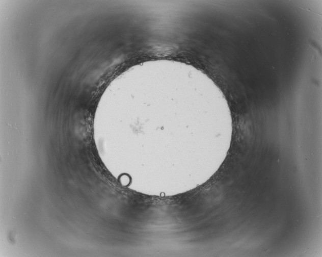 X0000103971349200810171915