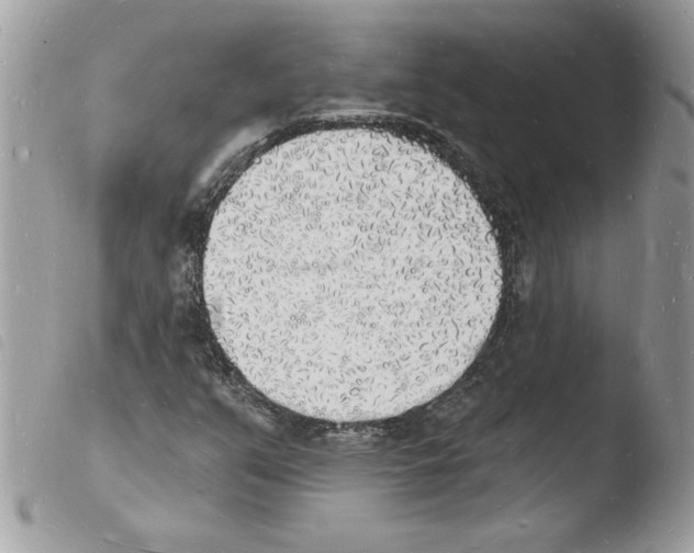 X0000103971351200810171915