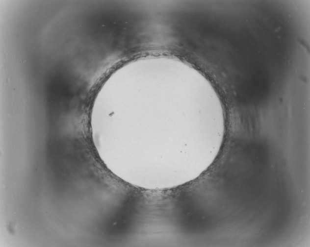 X0000103971352200810171915