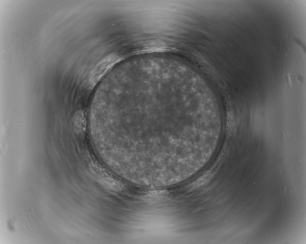 X0000103971353200810171915