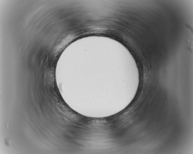 X0000103971354200810171915