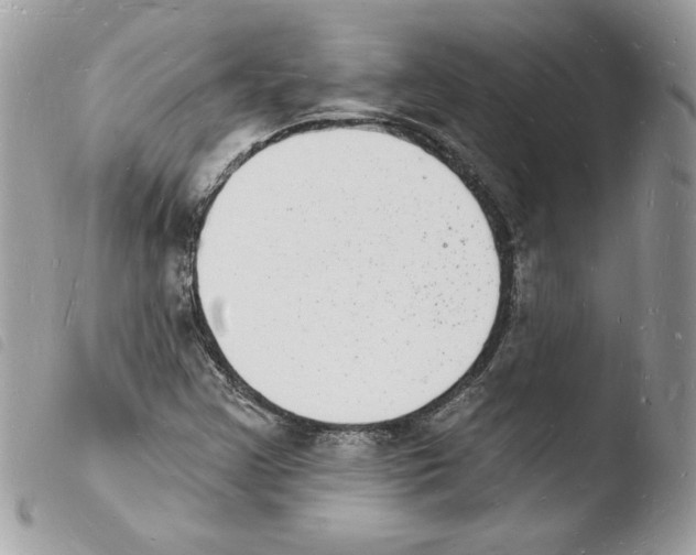 X0000103971355200810171915