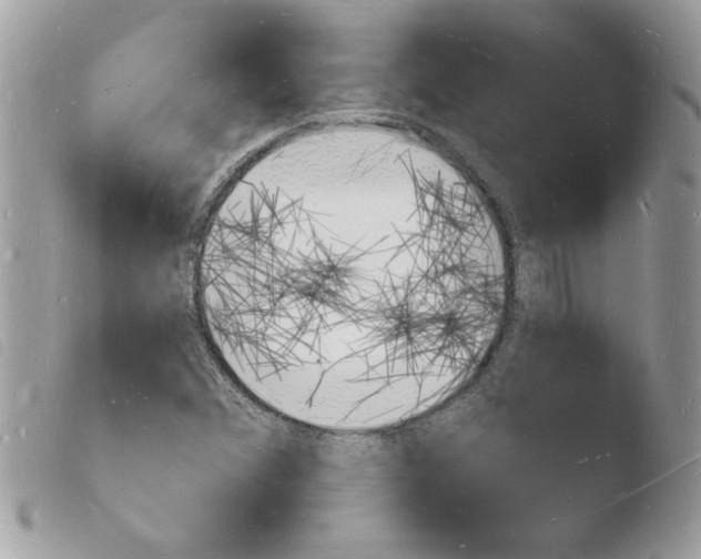 X0000103971356200810171915