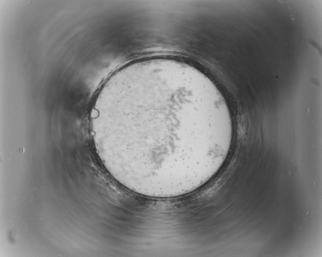 X0000103971357200810171915