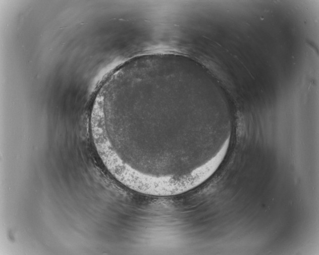 X0000103971358200810171915