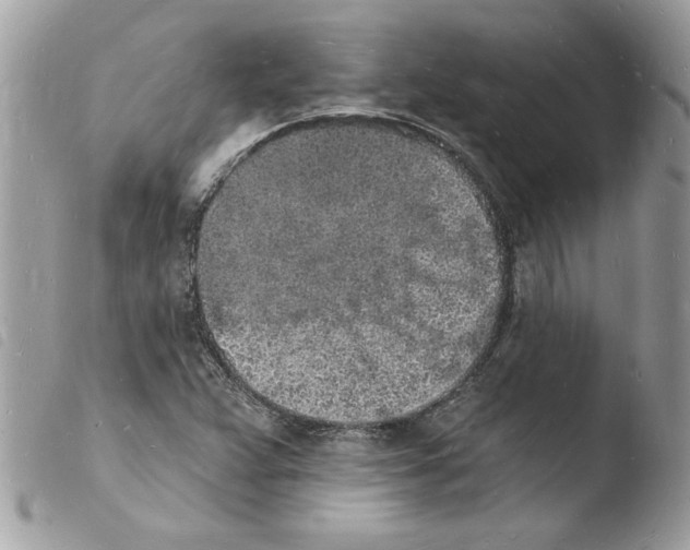 X0000103971359200810171915