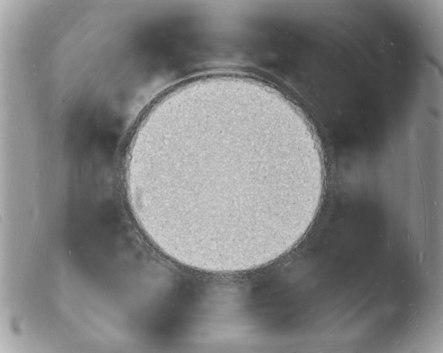 X0000103971360200810171915