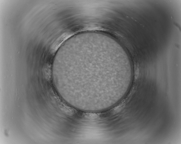 X0000103971361200810171915