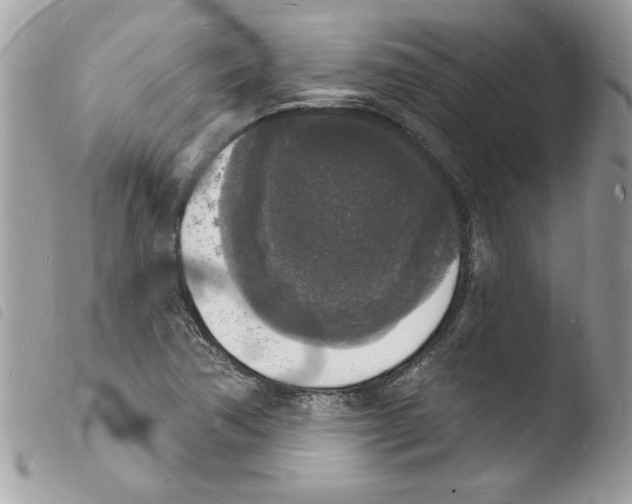 X0000103971362200810171915