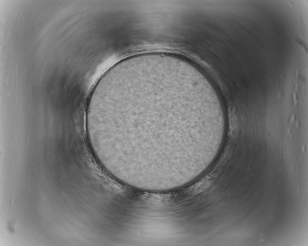 X0000103971365200810171915