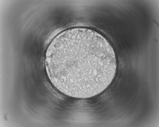 X0000103971367200810171915