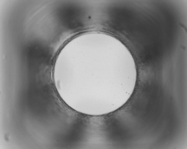 X0000103971368200810171915