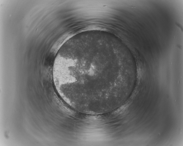 X0000103971369200810171915