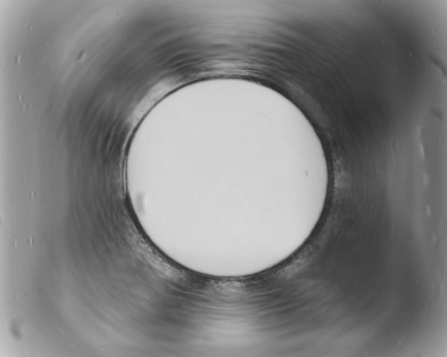 X0000103971370200810171915