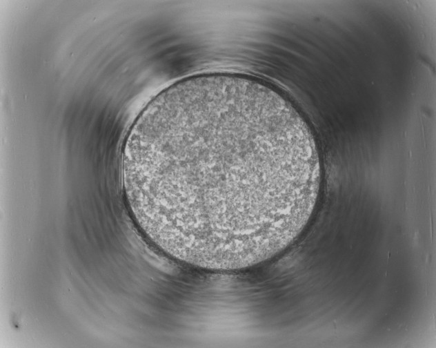 X0000103971371200810171915