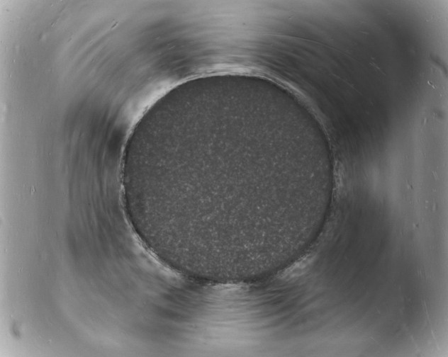 X0000103971373200810171915