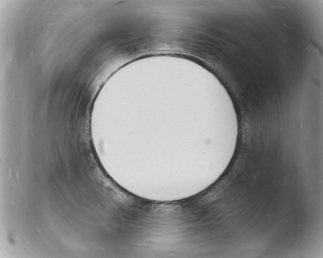 X0000103971374200810171915