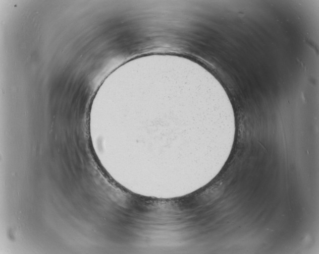 X0000103971375200810171915