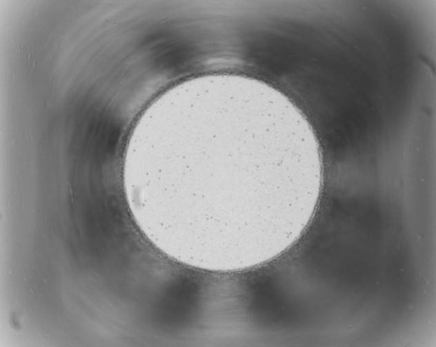 X0000103971376200810171915