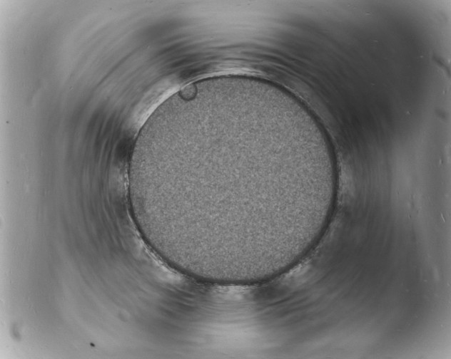 X0000103971377200810171915