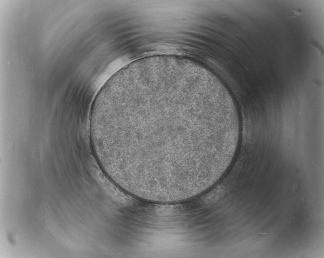 X0000103971378200810171914