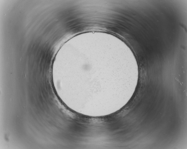 X0000103971379200810171914