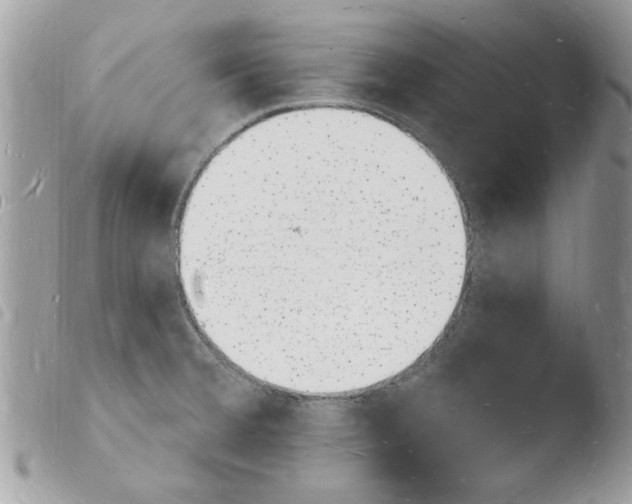 X0000103971380200810171914