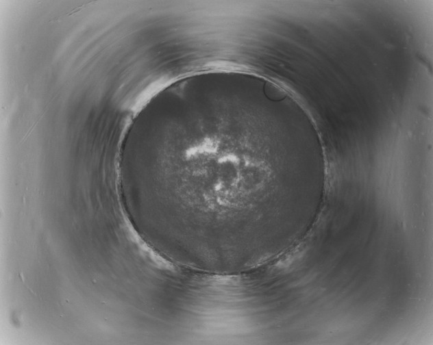 X0000103971381200810171914