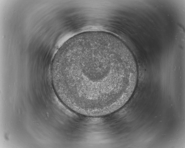 X0000103971382200810171914