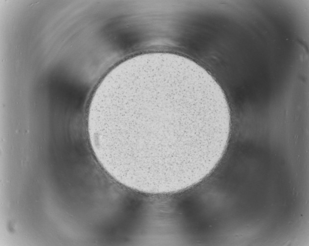 X0000103971384200810171914