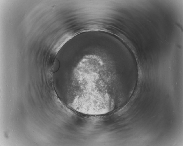 X0000103971385200810171914