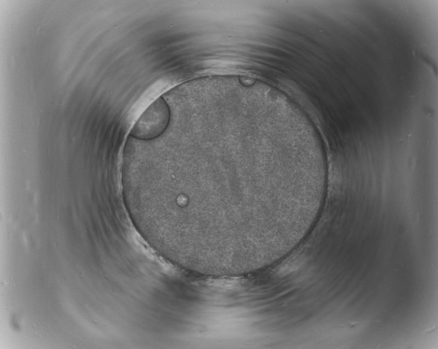 X0000103971386200810171914