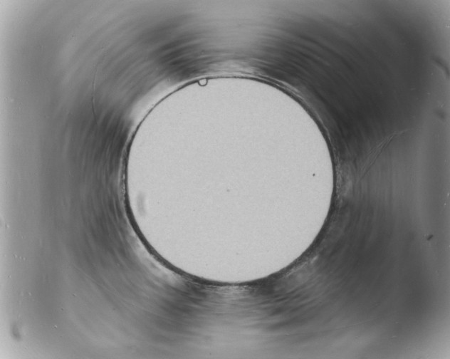 X0000103971387200810171914