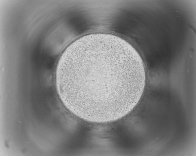 X0000103971388200810171914