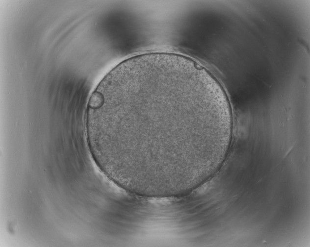 X0000103971389200810171914