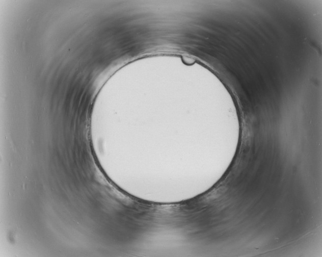 X0000103971390200810171914